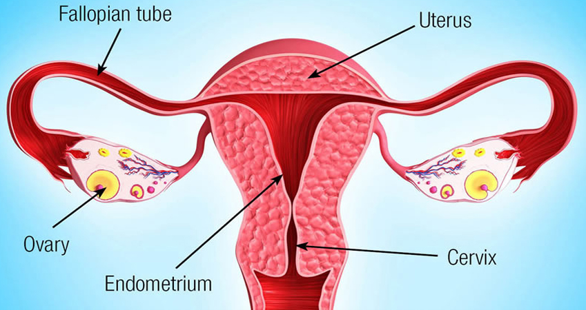 What are the common gynaecological problems?