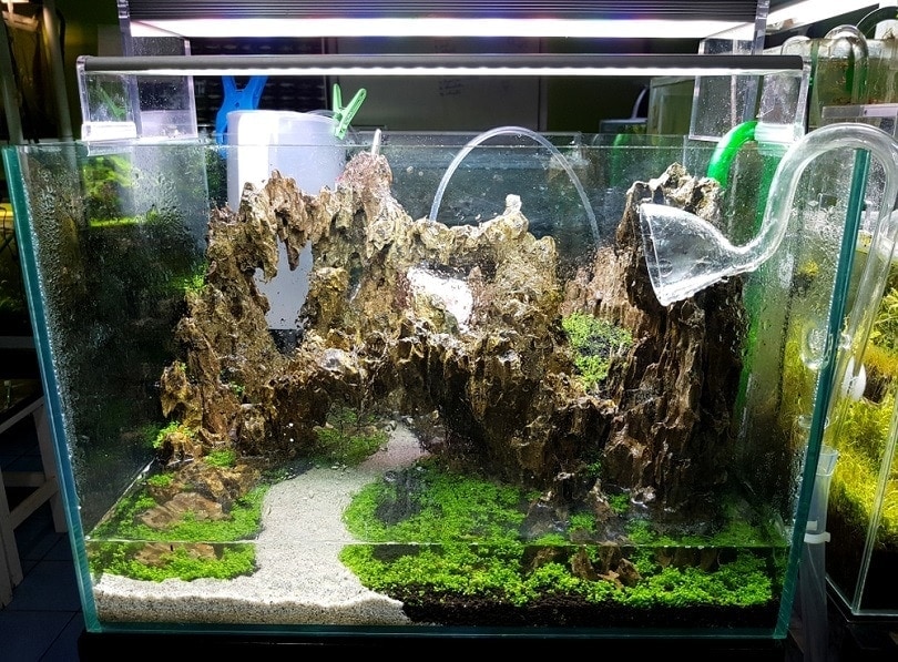 aquarium plant soil substrate